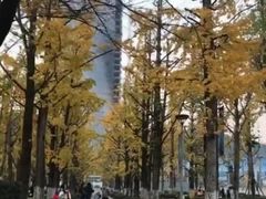 -两江幸福广场