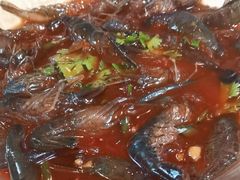 -张鸟园农家乐(张鸟园店)