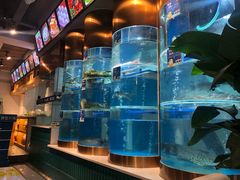 -香坝坝鲜鱼火锅(春熙路店)