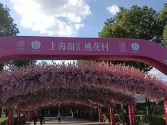 -南汇桃花村