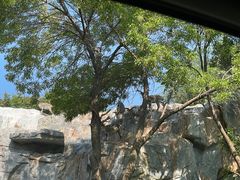 -北京野生动物园