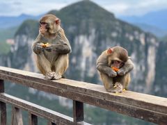 -重庆云阳龙缸景区