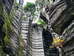 -梭布垭石林景区