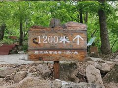 -三块石国家森林公园
