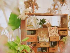 -知物癖(牛王庙店)