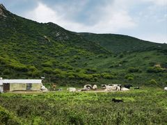 -兰州吐鲁沟国家森林公园