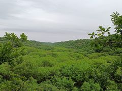 -大青沟风景区