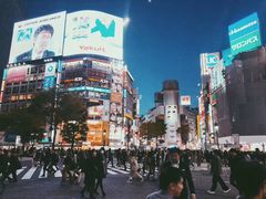 -涩谷区