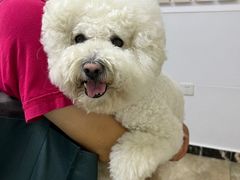 -美联众合动物医院·24h转诊中心