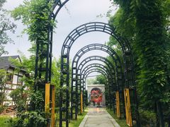 -金山农民画村-枫泾波兰倒置屋