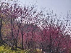 -安溪清水岩