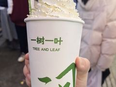 茉莉青乌龙雪山-一树一叶·福建茶档(石鼓路店)
