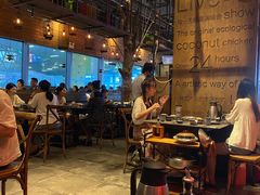 -同仁四季椰子鸡(宝安壹方城店)