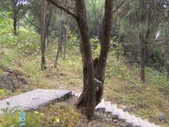 -牛郎织女景区