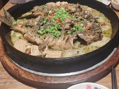 -老板恋上鱼(恒隆广场店)