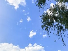 -酷鱼垂钓CLUB(朝阳区博大路店 )