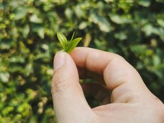 -黄陂区野村谷景区