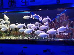 -水濂山乐民游艺园
