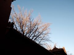 -故宫博物院(故宫)