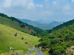 -大姆山草场