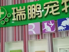 -瑞鹏·疫苗·绝育·宠物医院(金沙洲店)