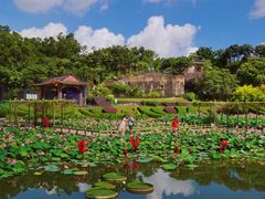 -广州莲花山旅游区