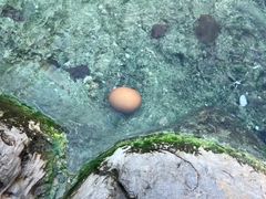 -长白山聚龙火山温泉