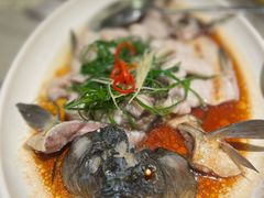 -巡味顺德菜(龙华壹方城店)