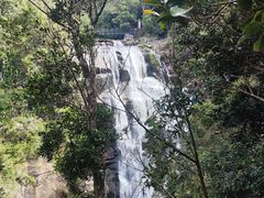 -海南热带雨林国家公园吊罗山景区