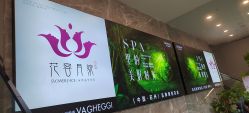 -阅年轻·AI家庭健康体质调理