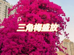 -日月光中心广场