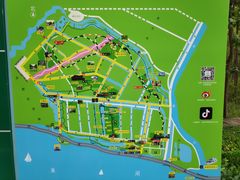 -合肥滨湖国家森林公园