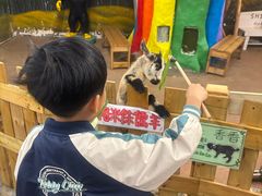 -正佳雨林生态植物园