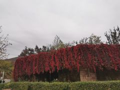 -静之湖度假区