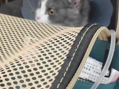 -爱侣宠医·鹦鹉专科·小型哺乳类·异宠专科(灵石路店)