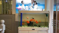 -非常六加一儿童摄影(同安店)