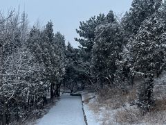 -香山公园