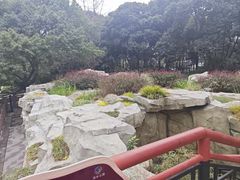 -成都市活水公园