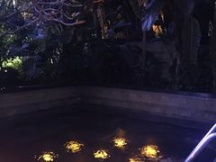 -深圳星河丽思卡尔顿酒店