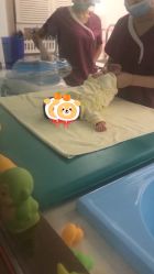 -百悦健康月子中心(祈悦店)