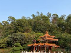 -深圳仙湖植物园
