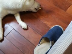 -爱侣宠医·鹦鹉专科·小型哺乳类·异宠专科(灵石路店)