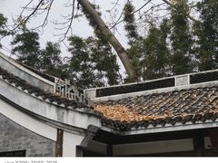 -柳侯公园