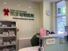 -悦宠凯宝动物医院·牙科·皮肤科(朝阳北路店)