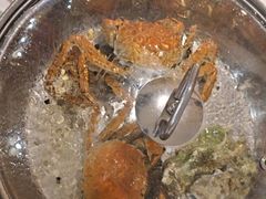 -海玥荟海鲜姿造自助餐厅(欧罗巴广场店)
