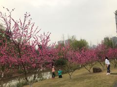 -沐仙湖湿地公园