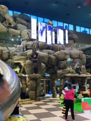 -卡通尼·Safari非洲探索乐园·生日会(金桥国际商业广场店)