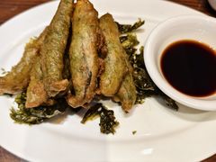 苔条黄鱼-老瑞福上海菜(人民广场店)