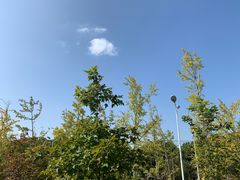 -锐擎卡丁车主题乐园(郊野公园店)