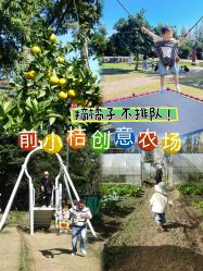 -前小桔亲子创意农场·草莓采摘·露营烧烤